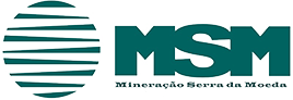 Logo MSM